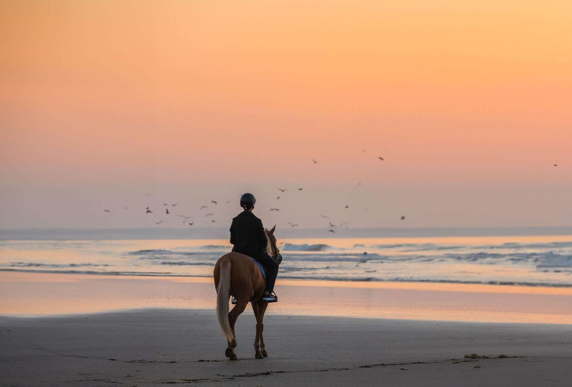 마자간 비치&골프 리조트 엘자디다 외부 사진 Sunset at the beach